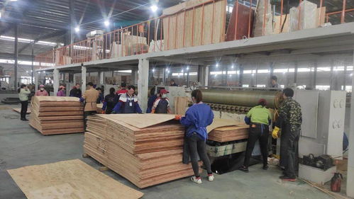 签约合作开年开好局，大王椰家具板渠道发力气势如虹